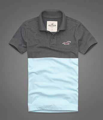 Cheap Hollister Men Shirts wholesale No. 446